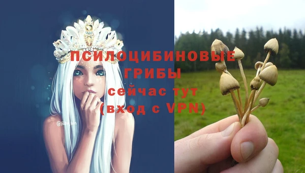 МДПВ Вязники