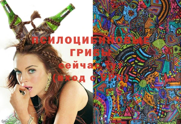 МДПВ Вязники