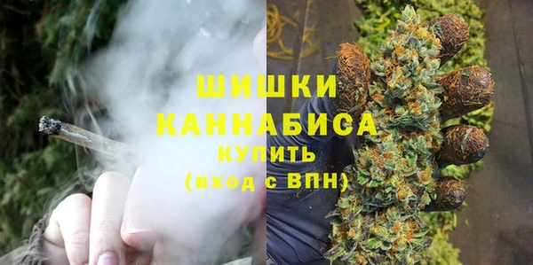 крисы Вязьма